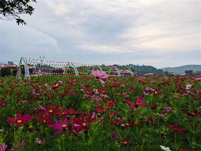 新塘村_湖南省邵陽(yáng)市大祥區(qū)檀江鄉(xiāng)新塘村