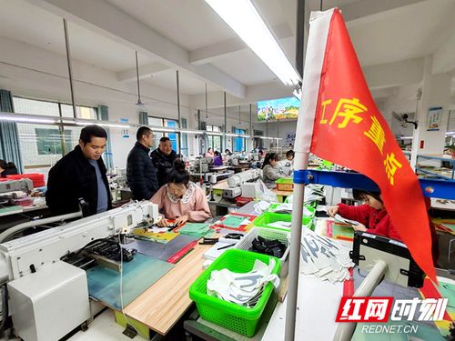 湖南新寧 送解優(yōu) 全鏈護航企業(yè)復工復產實現 開門紅