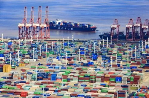 2023年前5月寧波外貿進出口數據公布 日用品貿易穩中向好